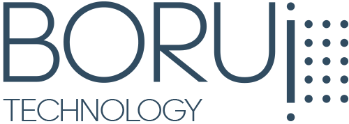 Borui logo